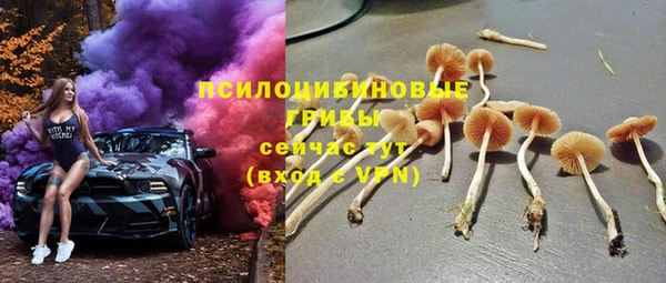 СК Абаза