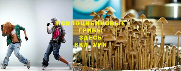 СК Абаза