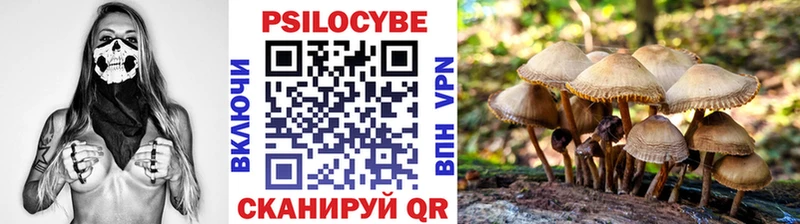 mega tor  как найти наркотики  Воронеж  Псилоцибиновые грибы прущие грибы 