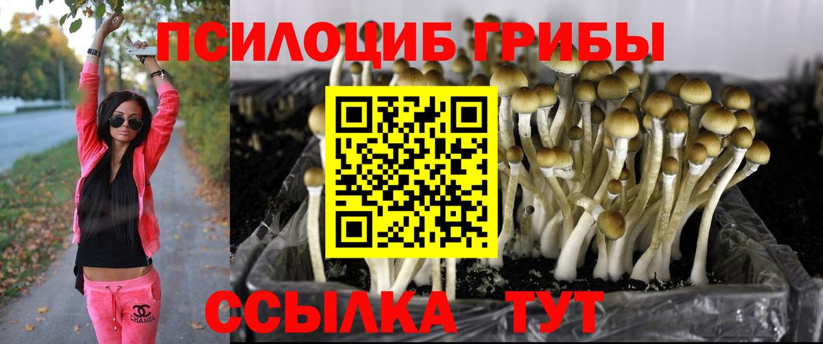 Галлюциногенные грибы GOLDEN TEACHER Воронеж