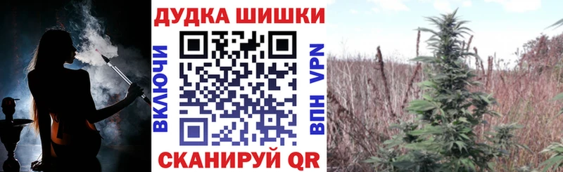 продажа наркотиков  МЕГА ссылки  Каннабис конопля  Воронеж 